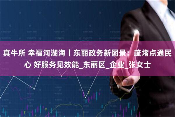 真牛所 幸福河湖海丨东丽政务新图景：疏堵点通民心 好服务见效能_东丽区_企业_张女士
