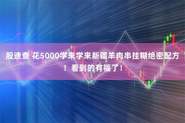 股速查 花5000学来学来新疆羊肉串挂糊绝密配方！看到的有福了！