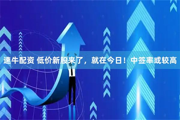 速牛配资 低价新股来了，就在今日！中签率或较高